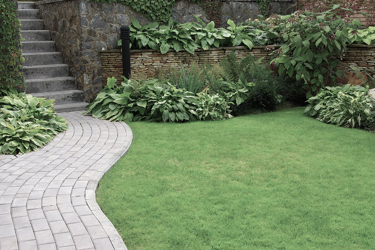 Welcome to Firmstone Landscaping